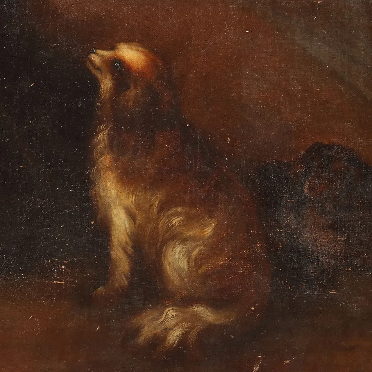 Ritratto di una giovane donna con il suo cane, olio su tela, '800 7