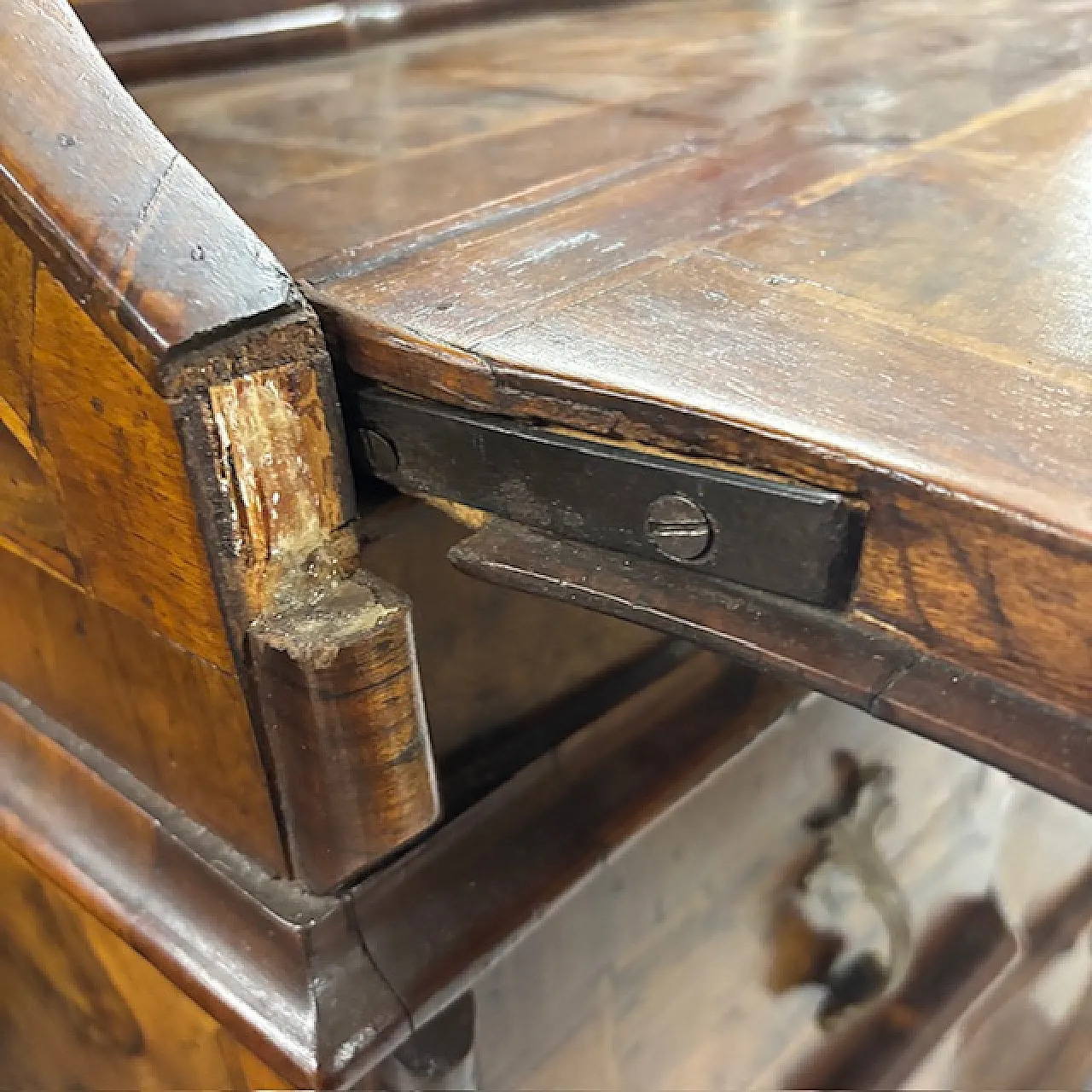 Veneered and inlaid moving flap, 18th century 15