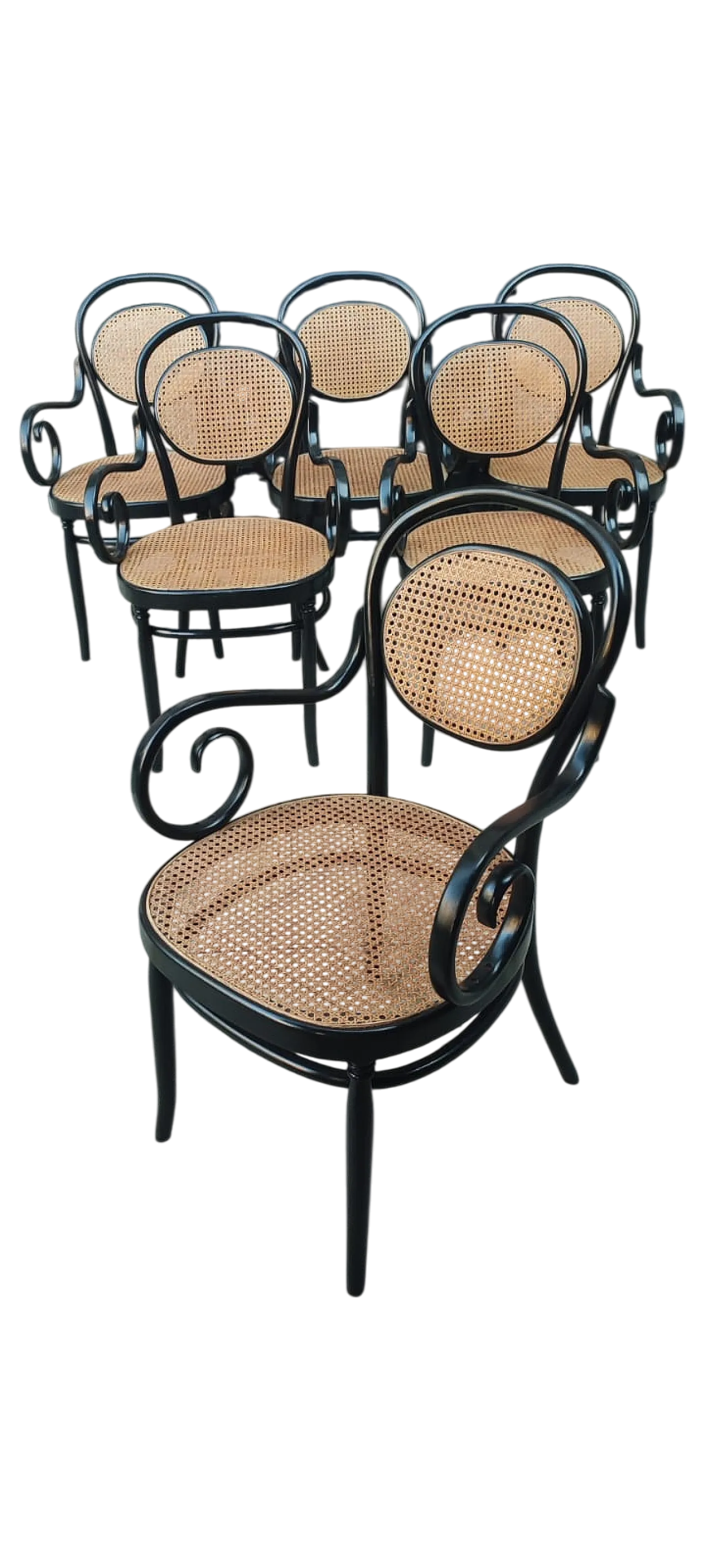 6 sedie Thonet di Sautto e Liberale, primi '900 8