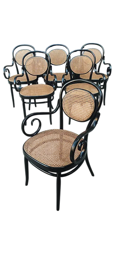 6 sedie Thonet di Sautto e Liberale, primi '900