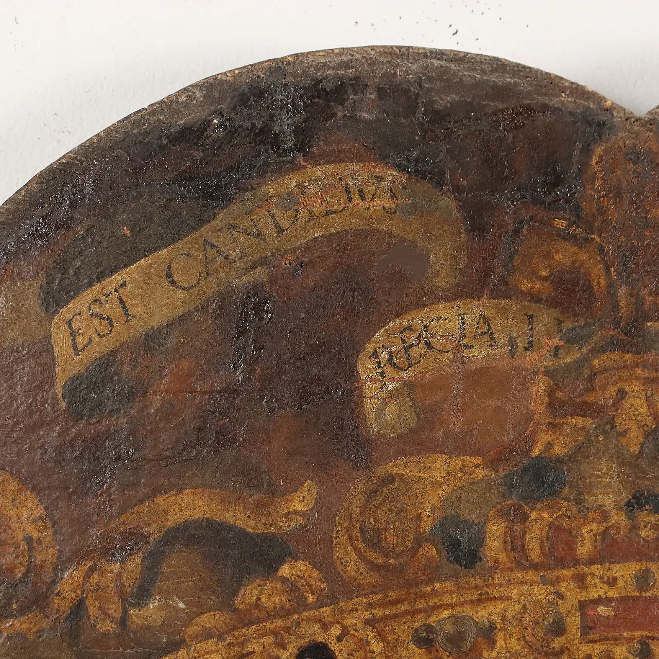 Stemma nobiliare Barocco in legno dipinto, fine '600 7