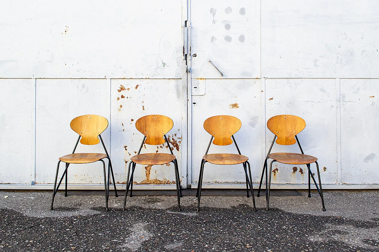 4 Sedie di Aurelio Villari per Isa Bergamo, anni '50 1