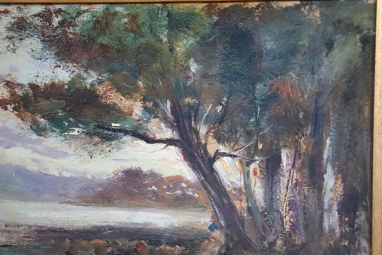Glimpse of Ischia by Ricciardi, oil on panel, early 1900s 6