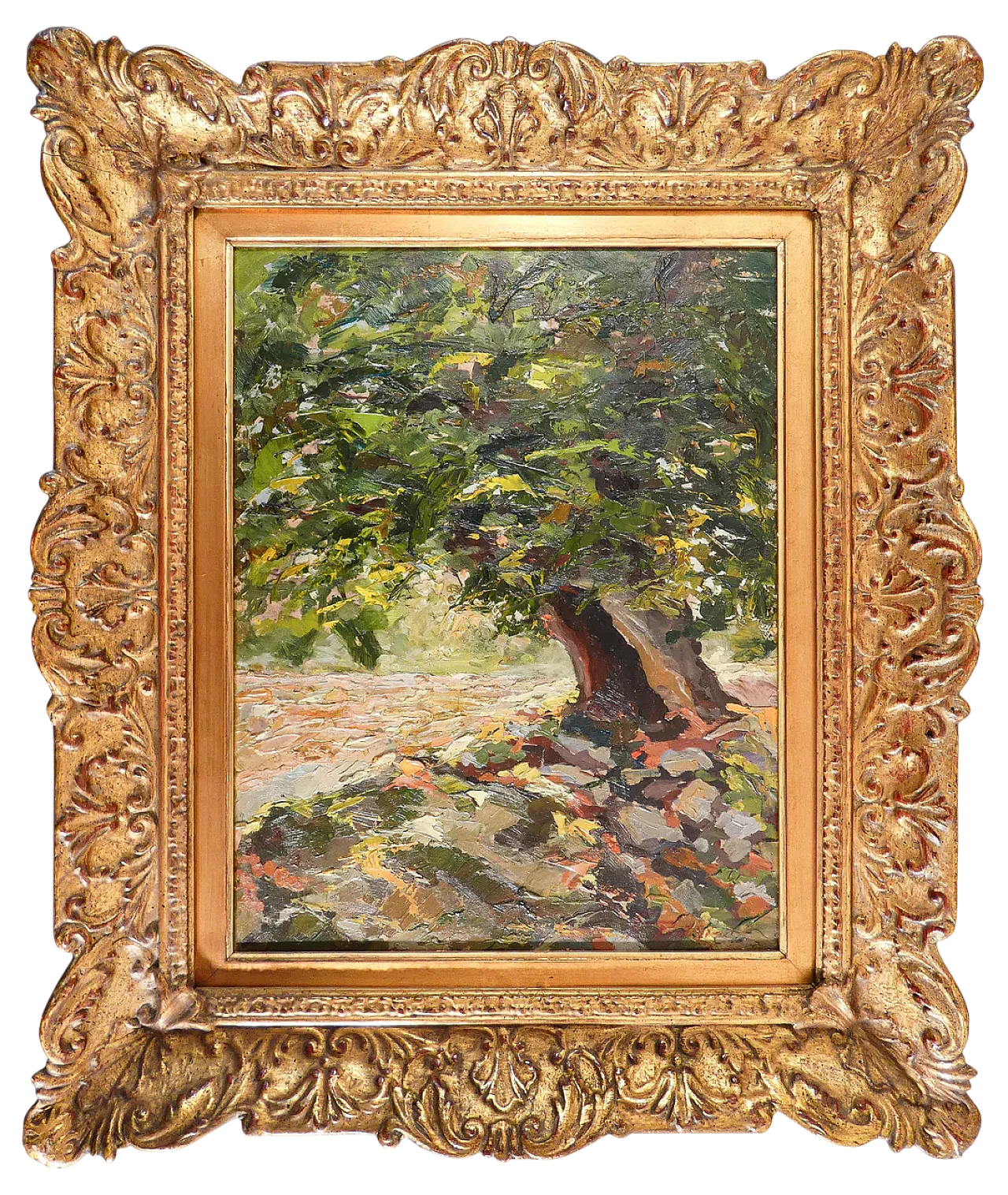 Monte Passi Secular Chestnut Tree by Ferruccio Rontini, 1920s 10