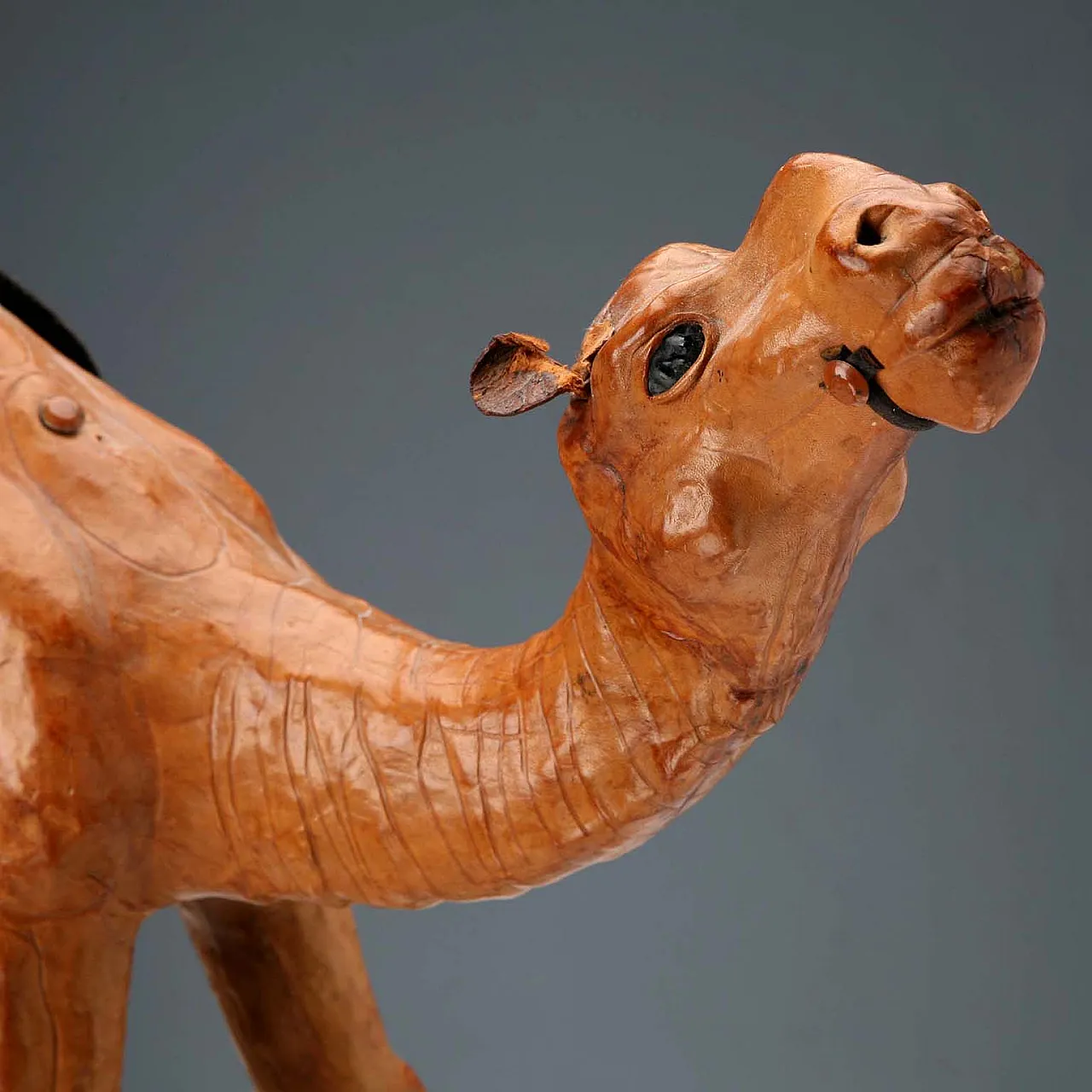 Sculpture depicting a leather-covered dromedary, 20th century 4