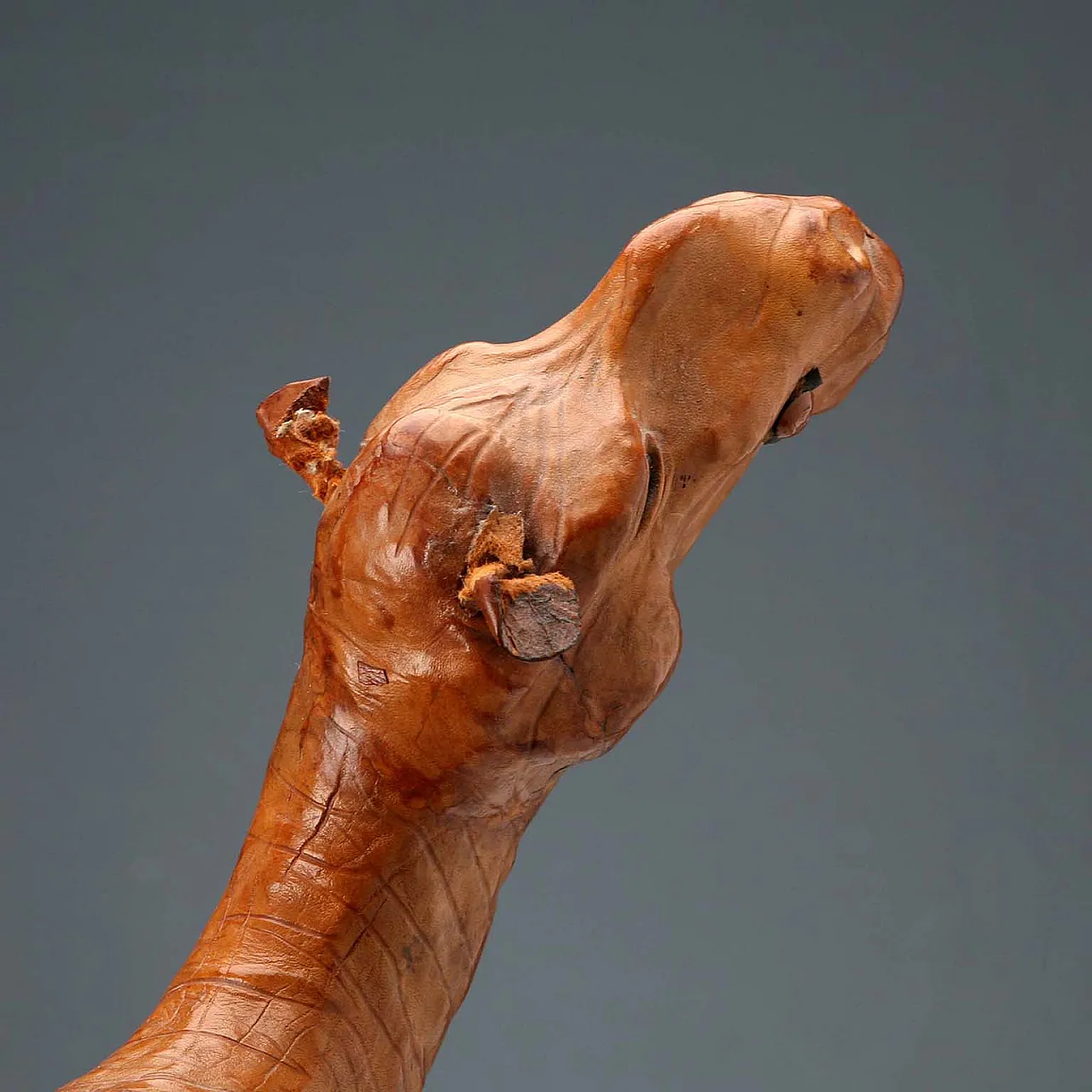 Sculpture depicting a leather-covered dromedary, 20th century 6