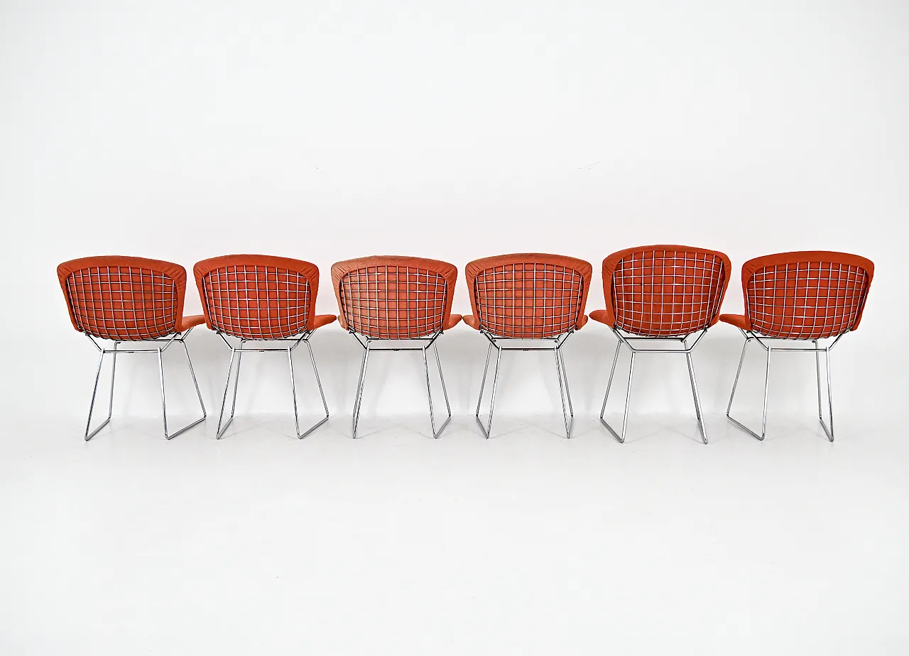 Sedie di Harry Bertoia per Knoll, anni '60, set di 6 5