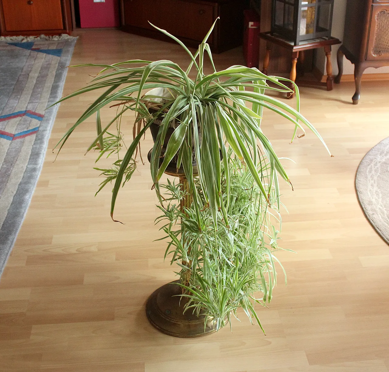 Brass and metal pedestal, 60s 3