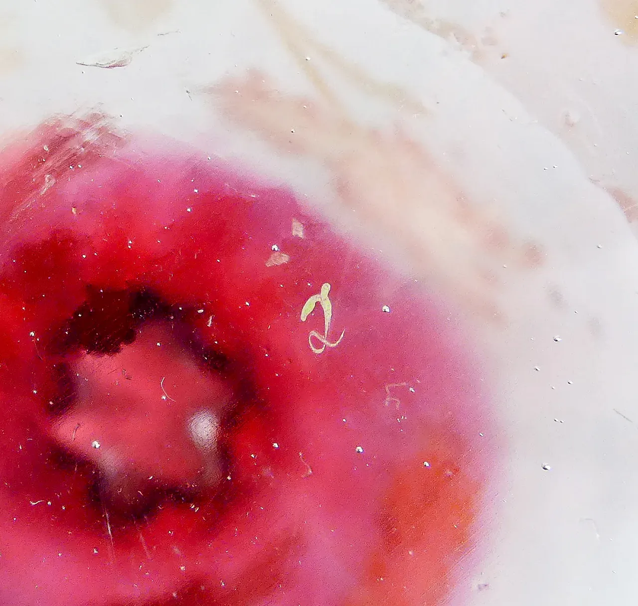 Legras hand-painted blown glass vase, 20th century 11