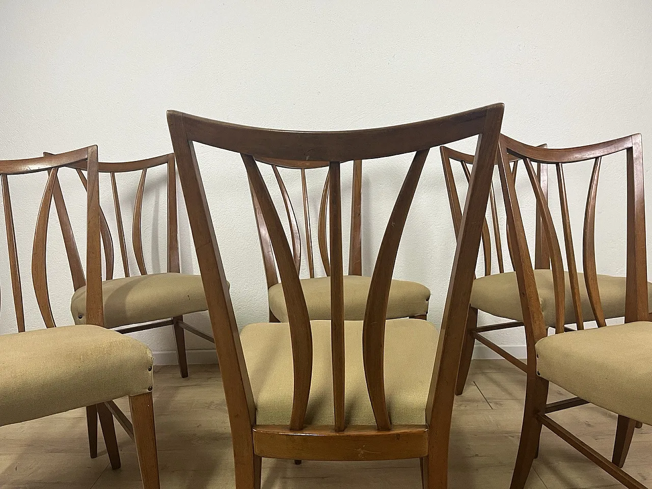6 Sedie in legno curvato e tessuto di Maurizio Tempestini, anni '50 16