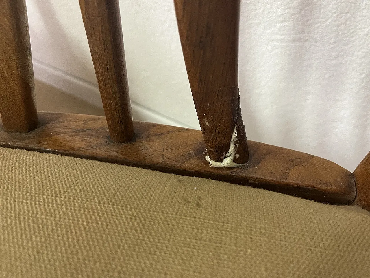 6 Sedie in legno curvato e tessuto di Maurizio Tempestini, anni '50 20