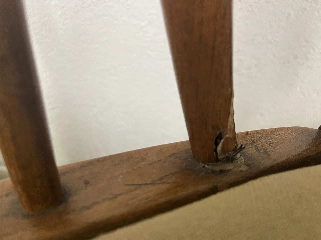 6 Sedie in legno curvato e tessuto di Maurizio Tempestini, anni '50 21