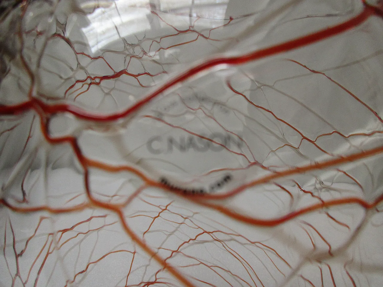 Murano glass vase by Carlo Nason, Italy, 2000s 8