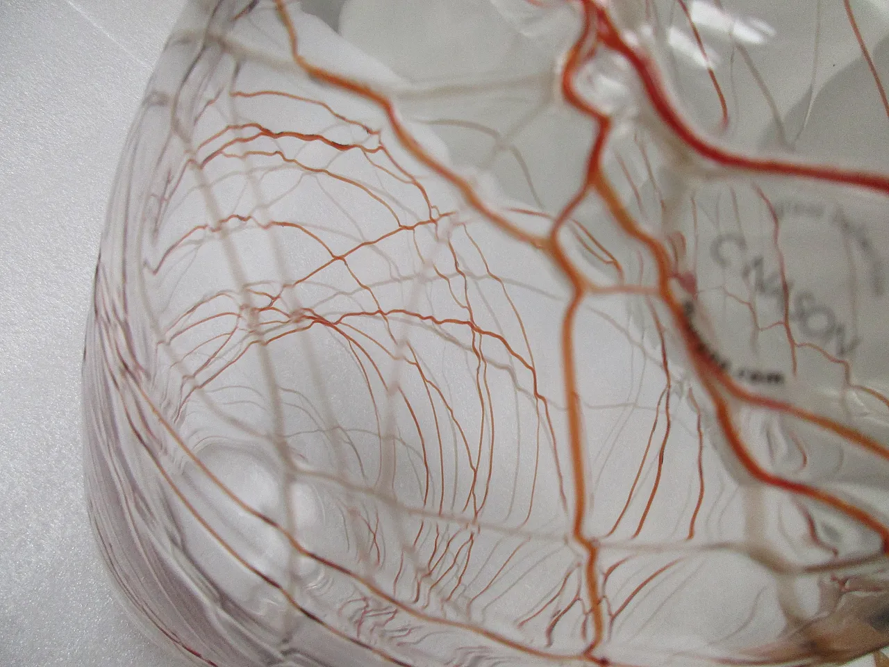 Murano glass vase by Carlo Nason, Italy, 2000s 10