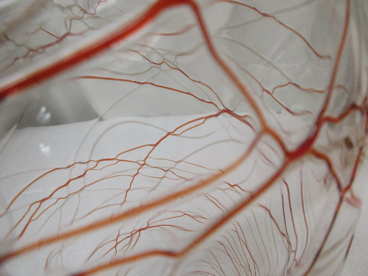 Murano glass vase by Carlo Nason, Italy, 2000s 11