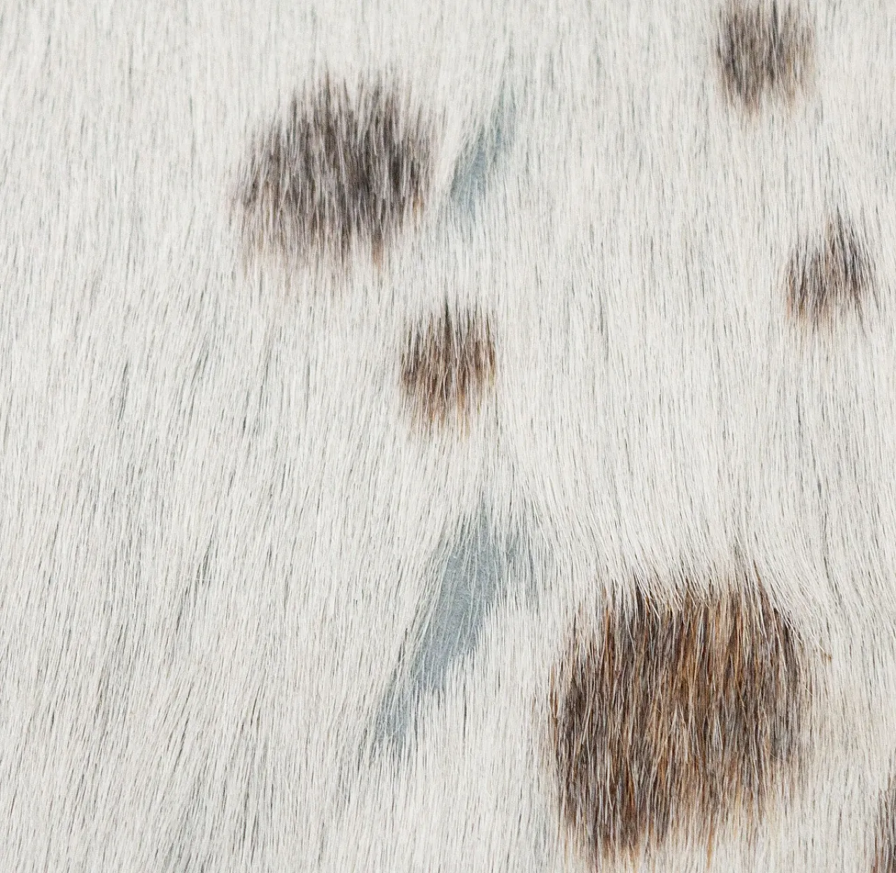 Large metal ottoman covered in cowhide, 20th century 1