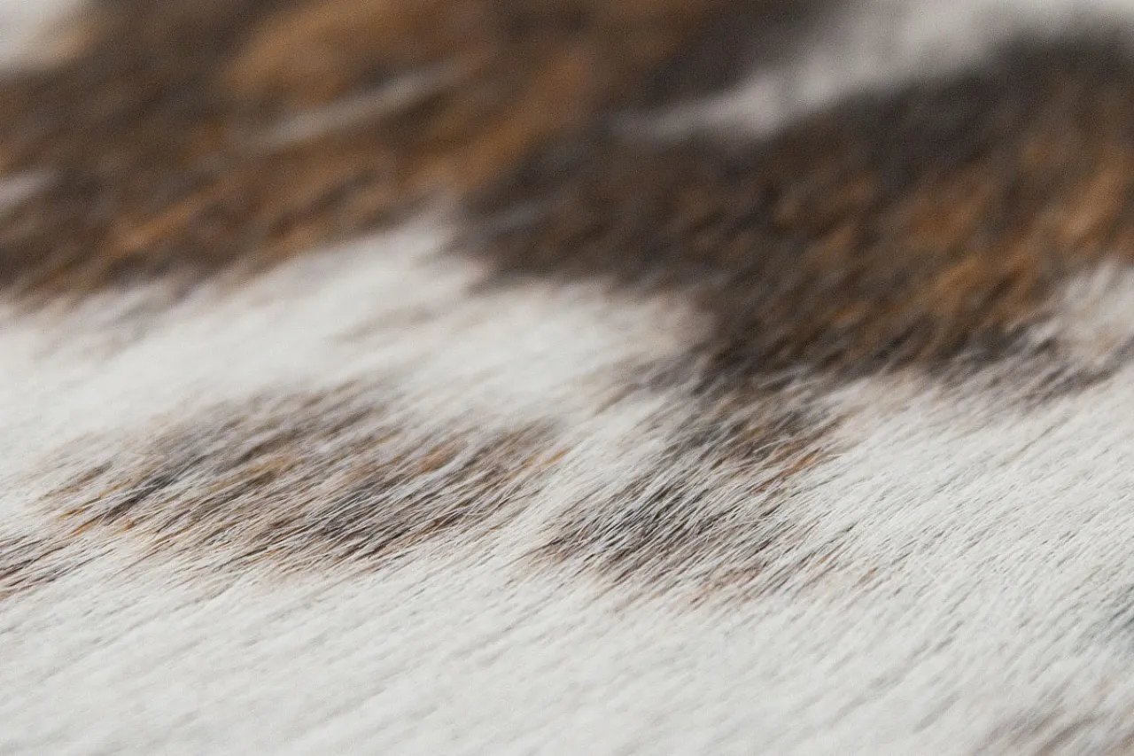 Large metal ottoman covered in cowhide, 20th century 5