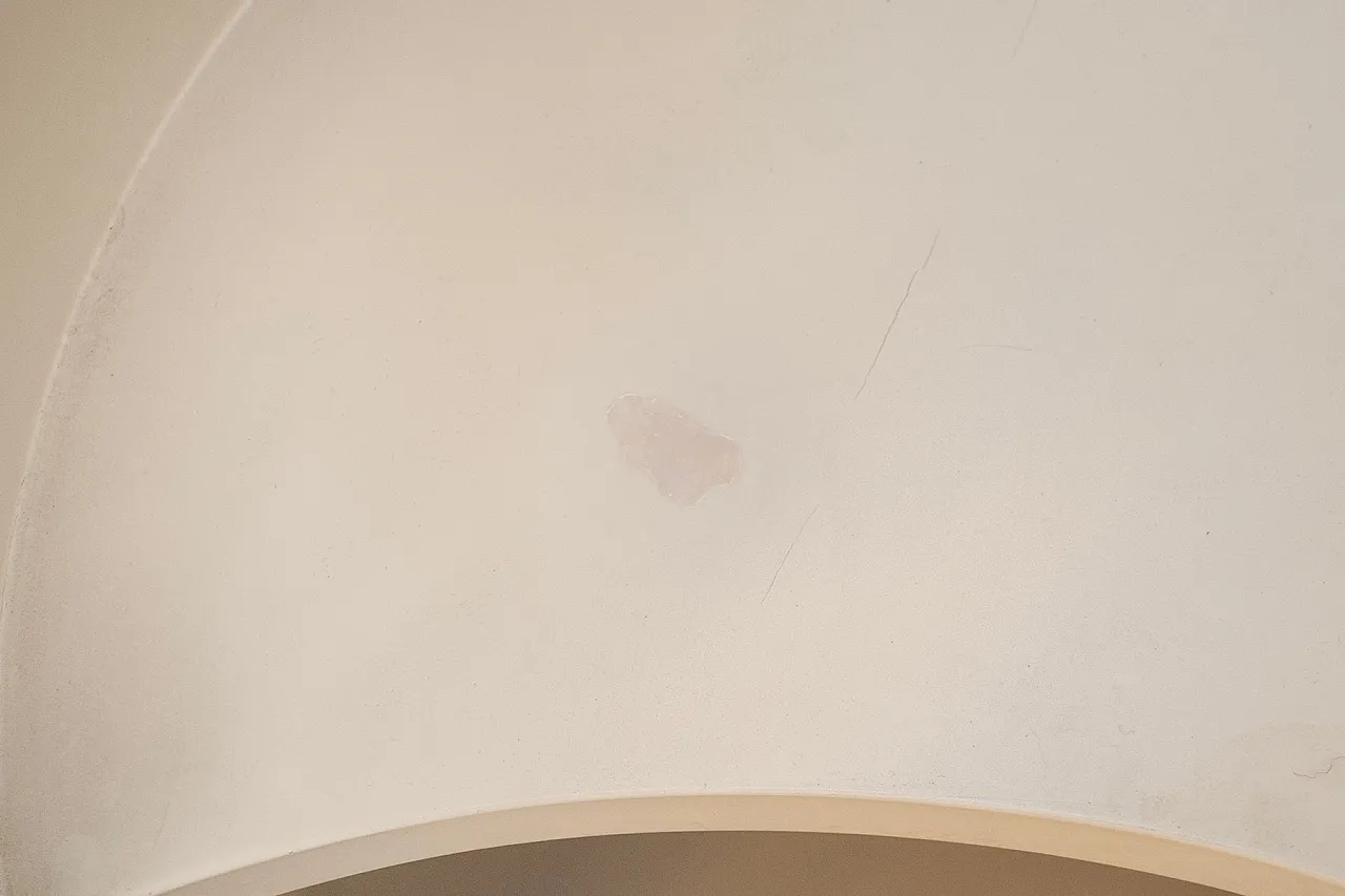 Gea cylindrical cabinet by Kazuhide Takahama for Gavina, 1960s 5