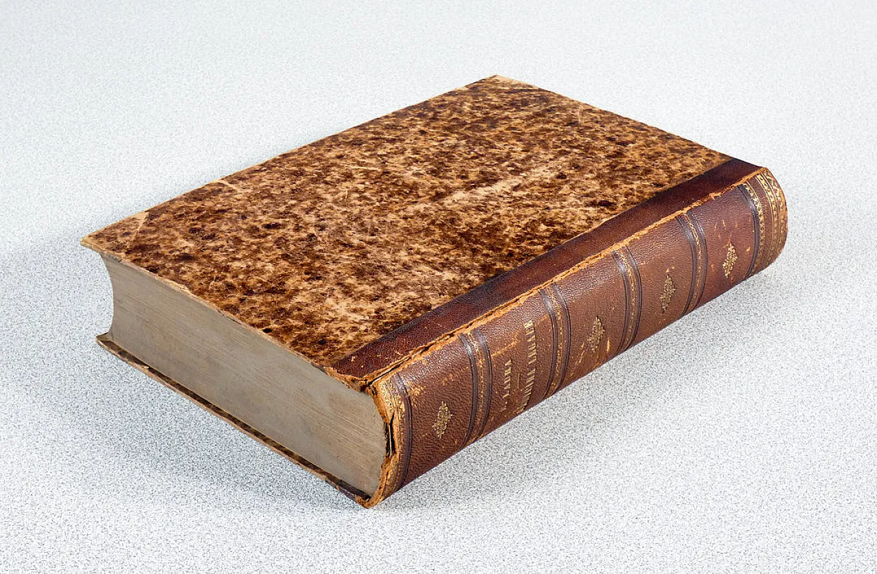 Trattato di Medicina Legale di Secondo Laura, '800 13