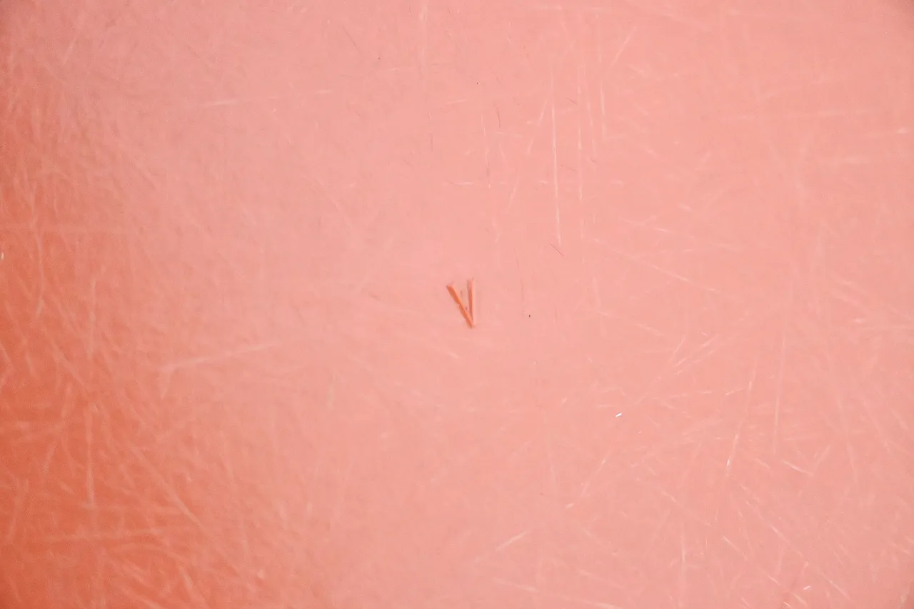 Poltrona di Charles e Ray Eames per Herman Miller, anni '70 8