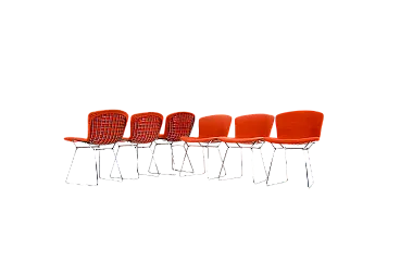 Chairs by Harry Bertoia for Knoll, 1960s, Set of 6