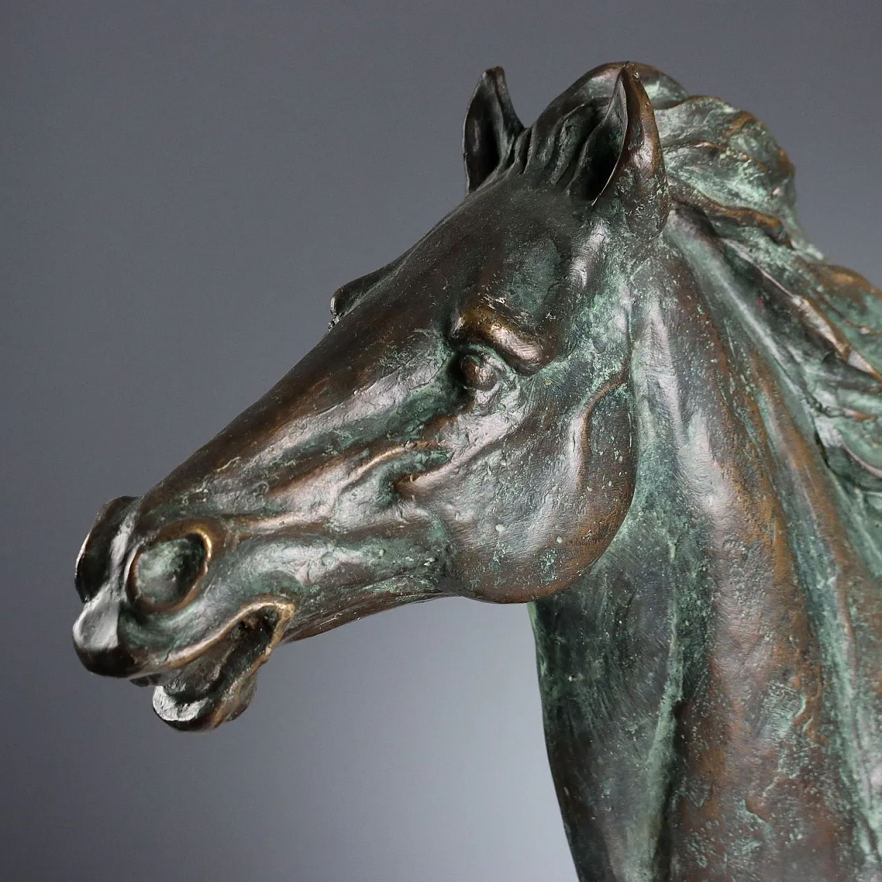 Scultura in bronzo e legno raffigurante testa di cavallo, '900 3