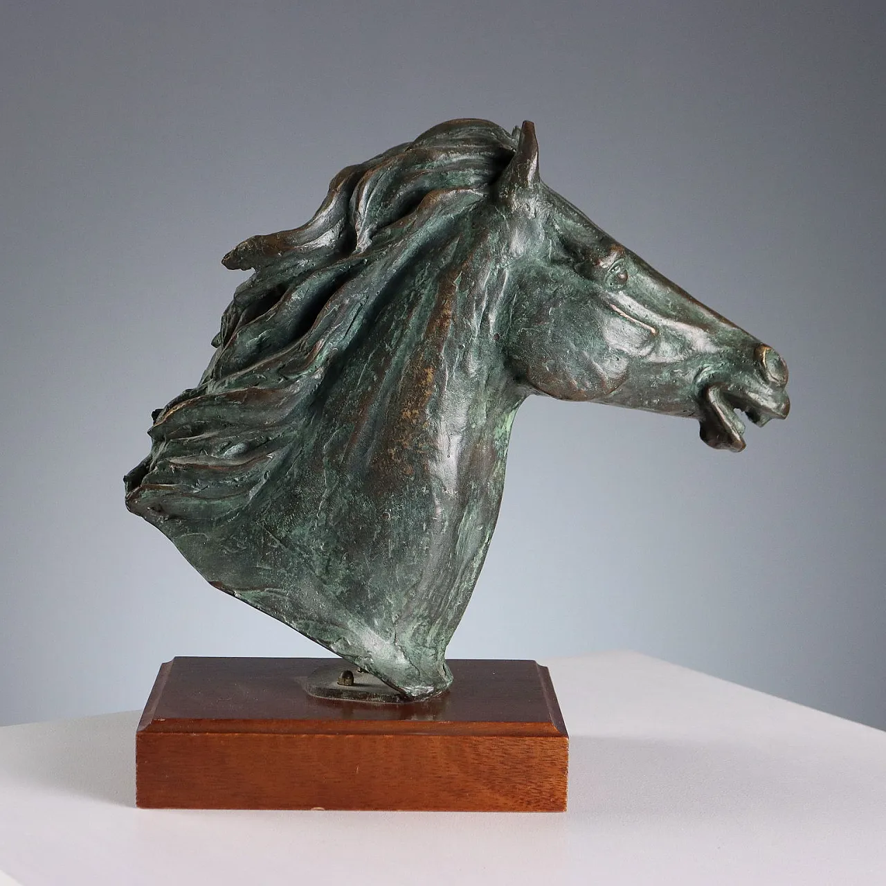Scultura in bronzo e legno raffigurante testa di cavallo, '900 6