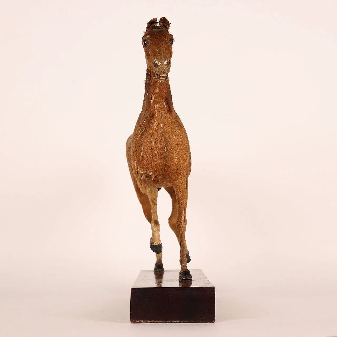 Scultura di cavallo di Henry Fratin in legno e pelliccia, '800 2