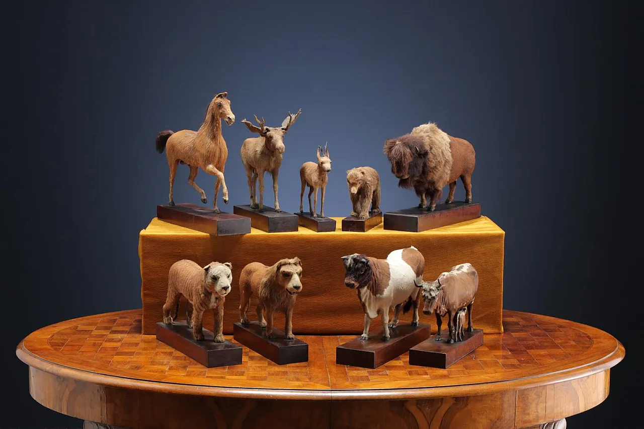 Scultura di cavallo di Henry Fratin in legno e pelliccia, '800 7