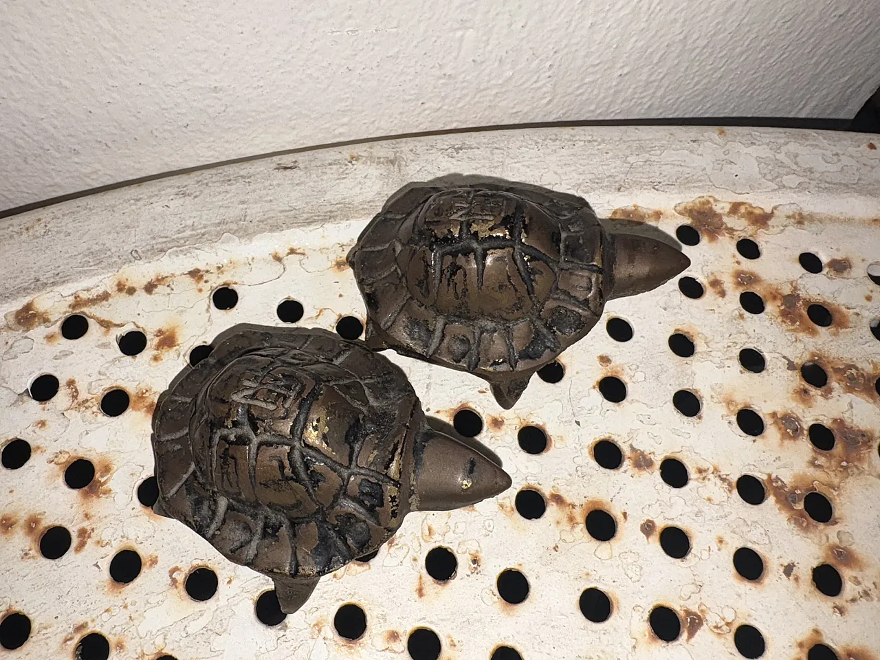Pair of turtles, 20s 1