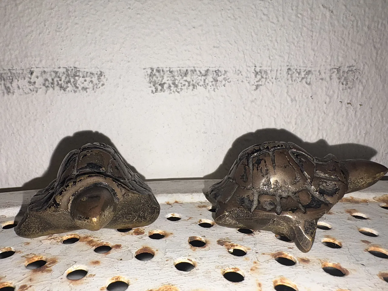 Pair of turtles, 20s 3