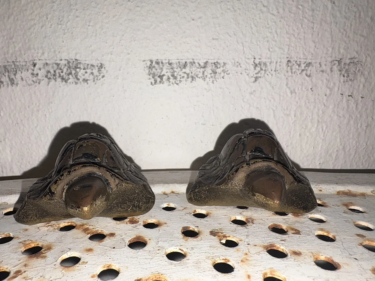 Pair of turtles, 20s 4