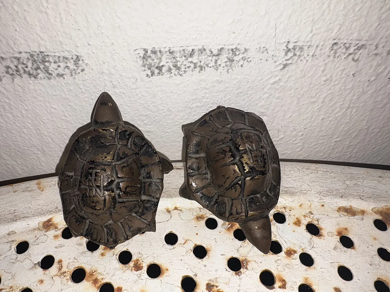 Pair of turtles, 20s 5