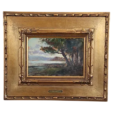 Scorcio di Ischia di Ricciardi, olio su tavola, inizi del '900