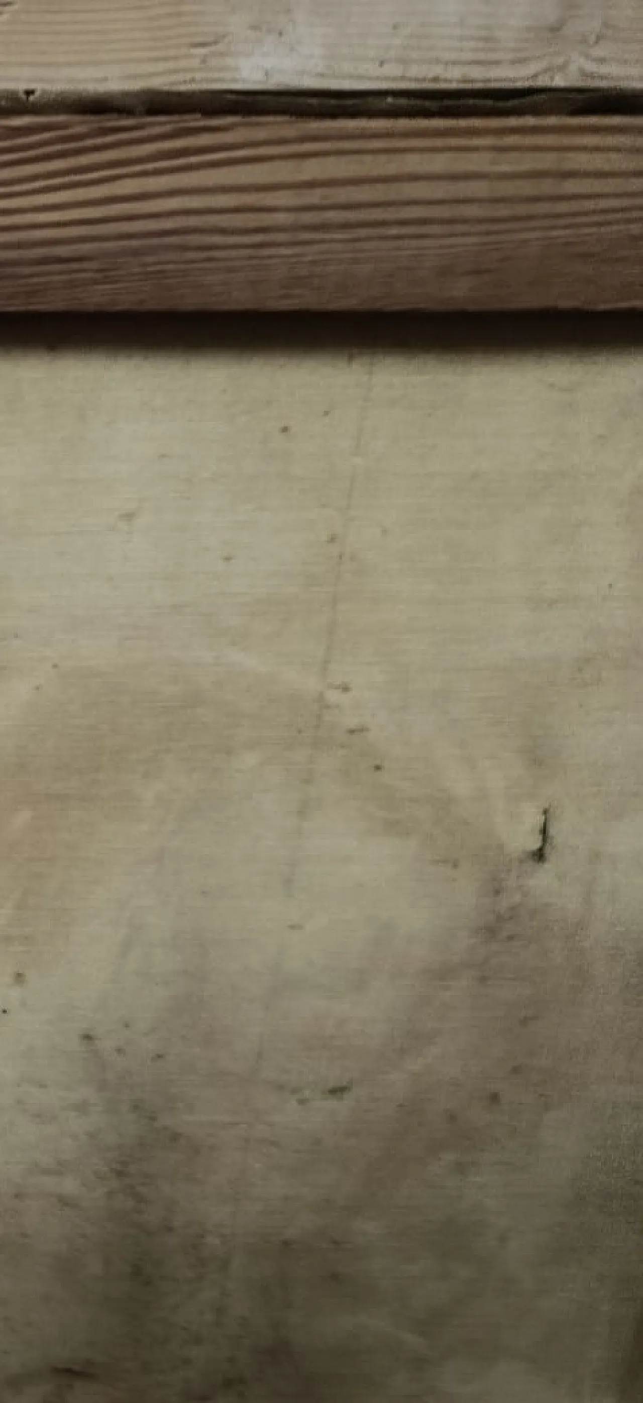 Natura morta con pesci, primi ‘900 4