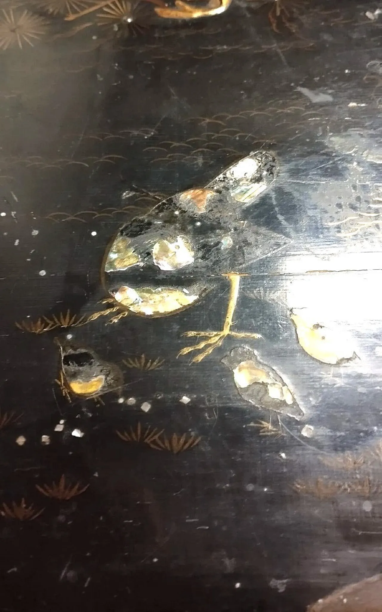 Wood painted cinematography and mother pearl inlays box, 19th century 3