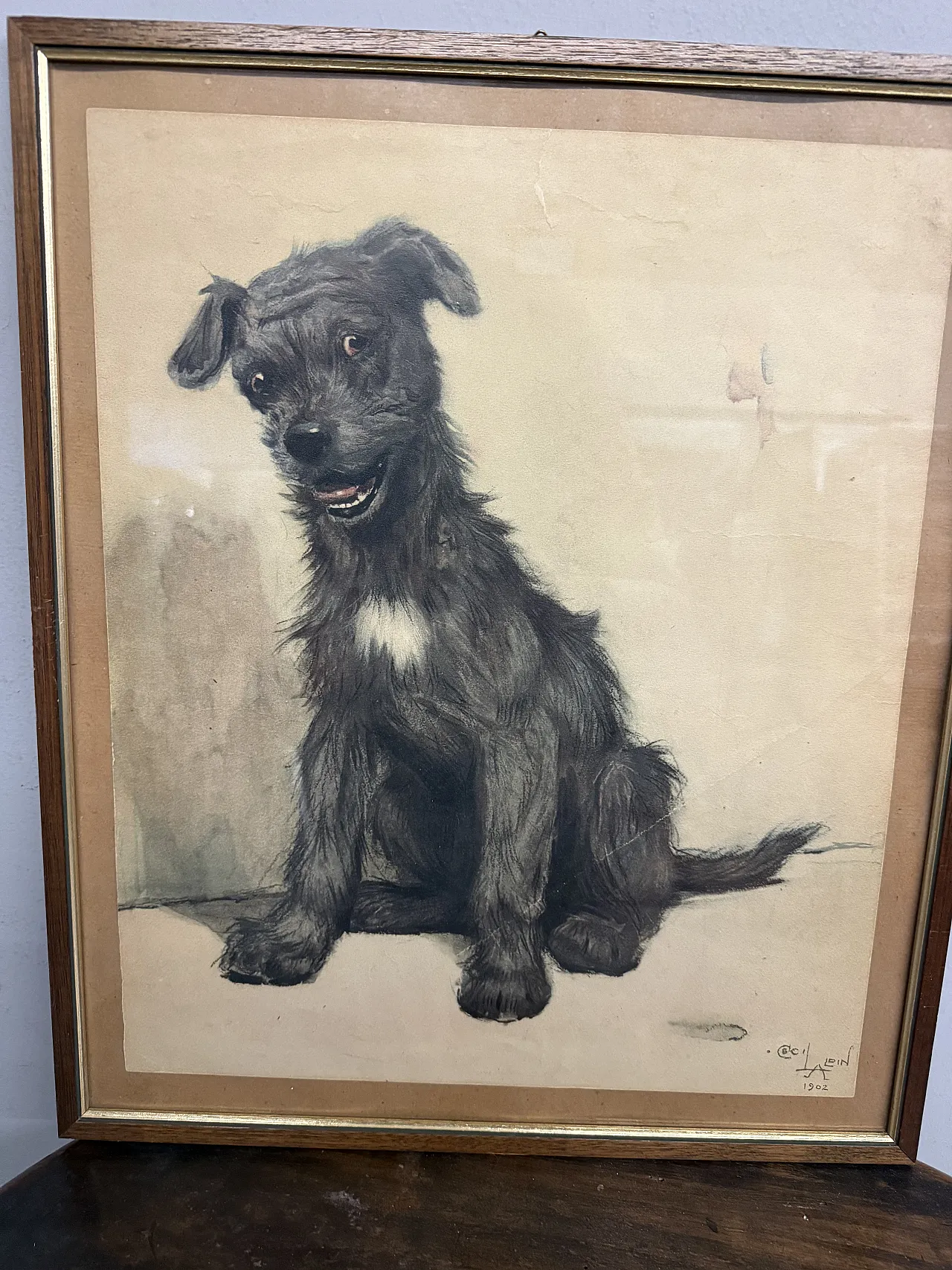 Incisione acquerellata Cane di Cecil Aldin, 1902 3