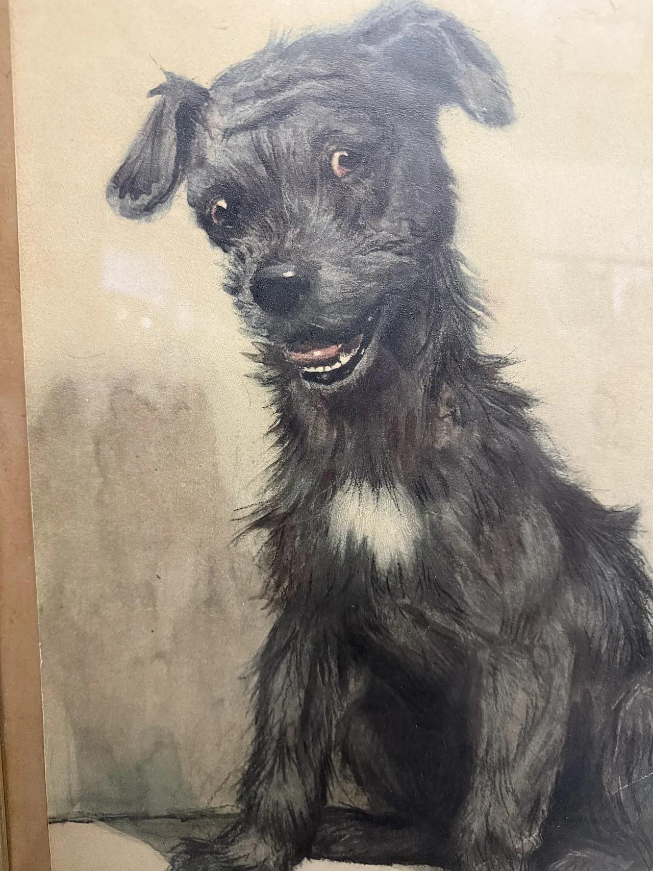 Incisione acquerellata Cane di Cecil Aldin, 1902 4