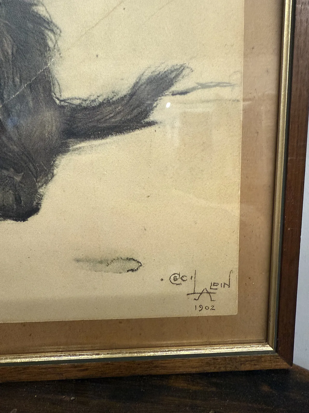 Incisione acquerellata Cane di Cecil Aldin, 1902 6