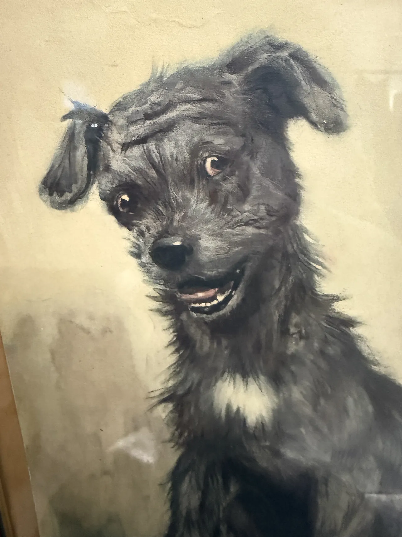 Incisione acquerellata Cane di Cecil Aldin, 1902 7