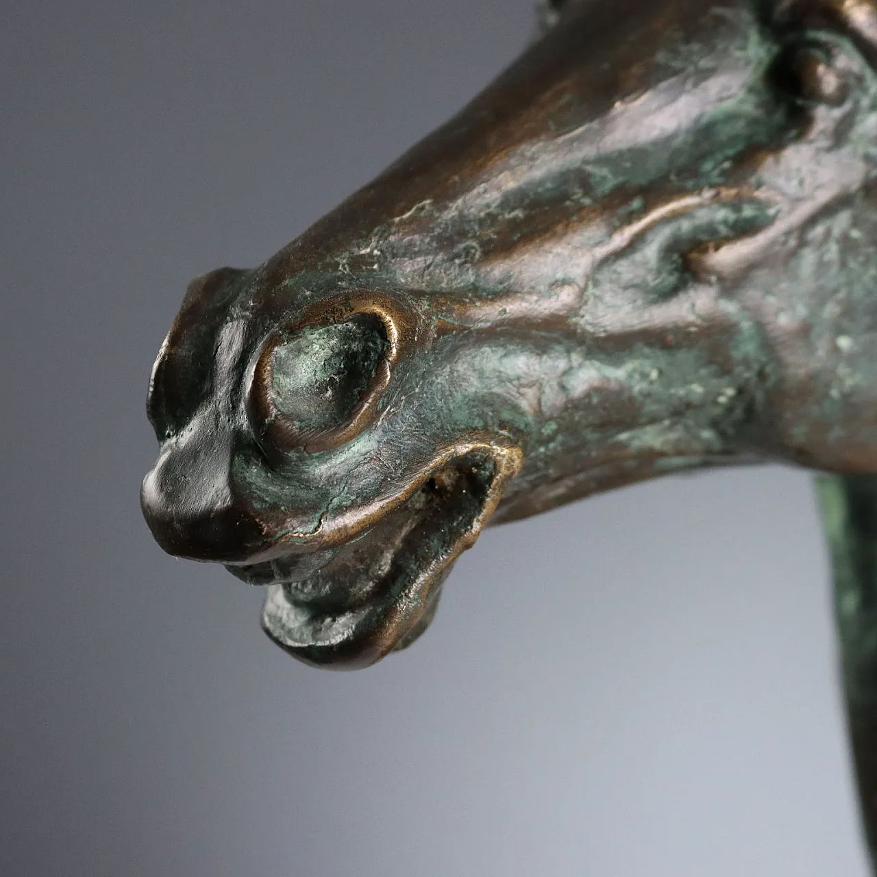 Scultura in bronzo e legno raffigurante testa di cavallo, '900 4