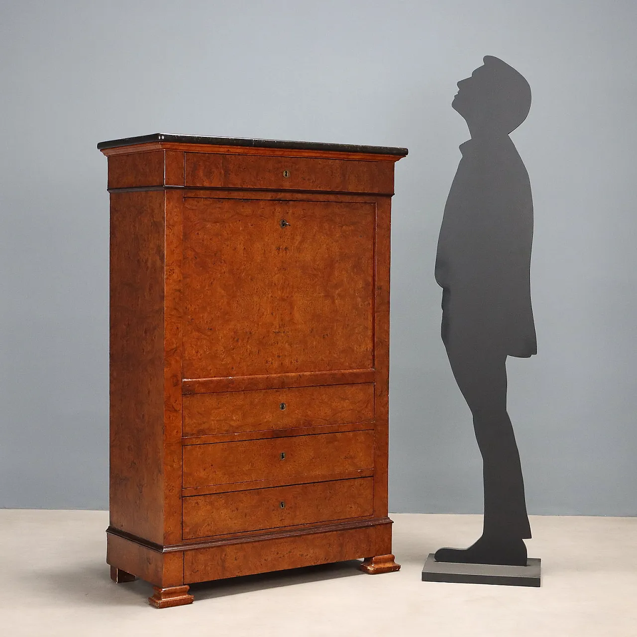 Biedermeir desk in elm burl and rosewood, mid-19th century 3