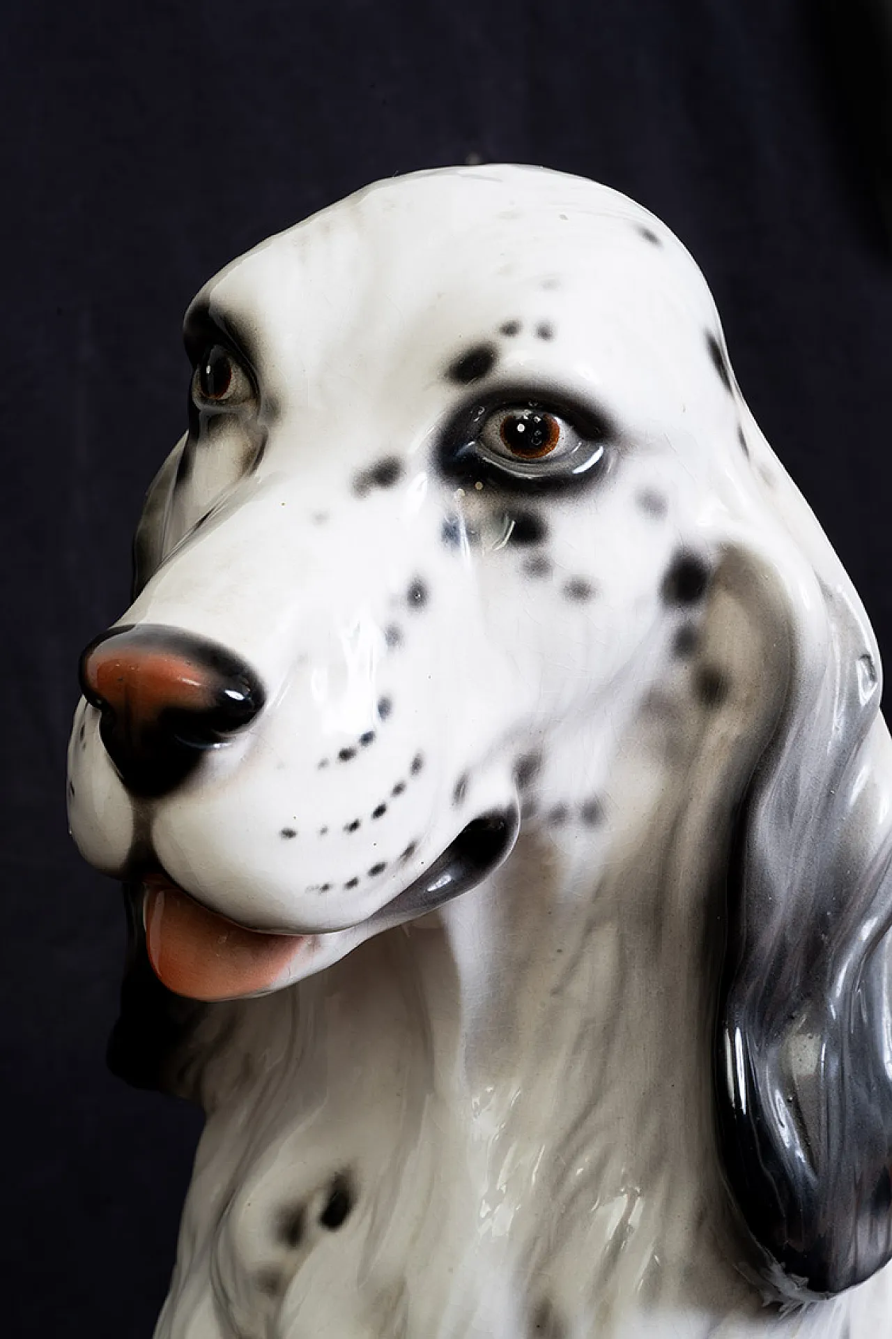 Scultura in porcellana policroma raffigurante Setter Inglese, anni '60 4