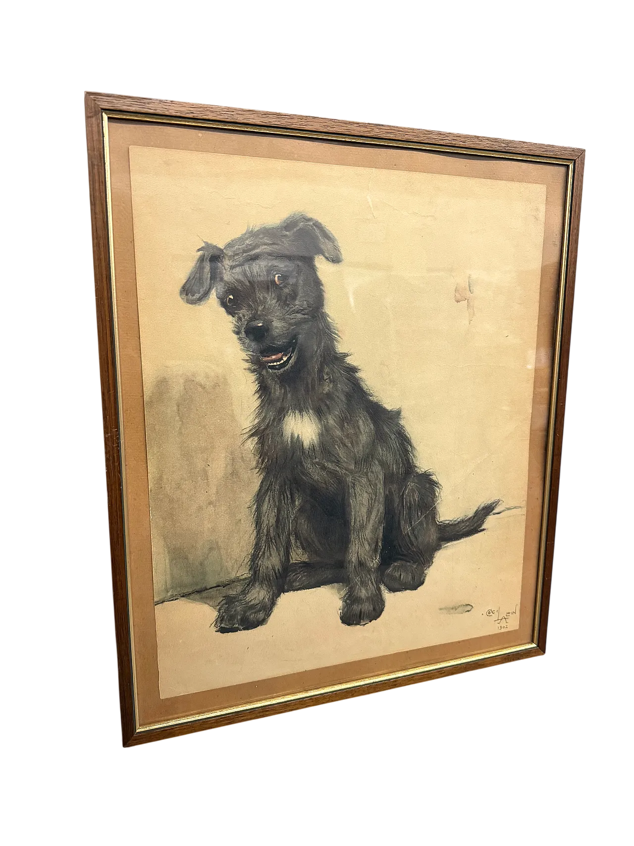 Incisione acquerellata Cane di Cecil Aldin, 1902 14