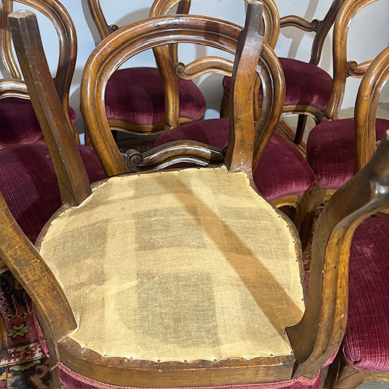 10 sedie Luigi Filippo, metà '800 10