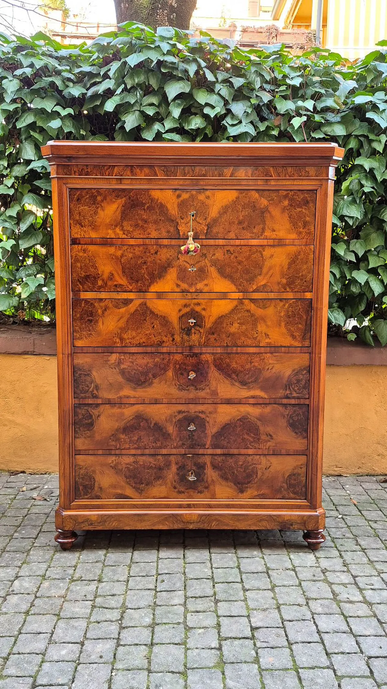 Romagna chest of drawers in walnut burl, 19th century 1