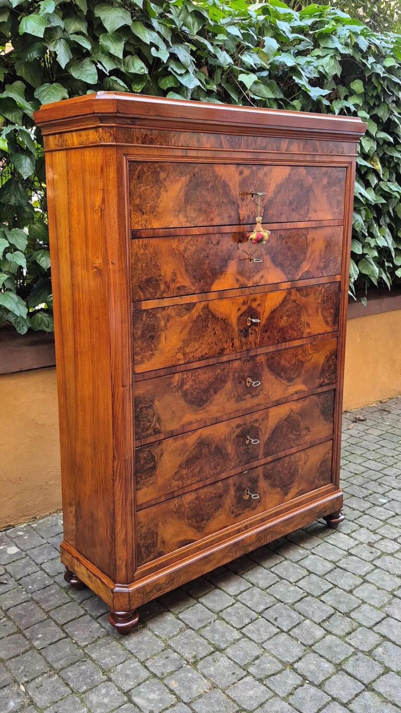 Romagna chest of drawers in walnut burl, 19th century 2