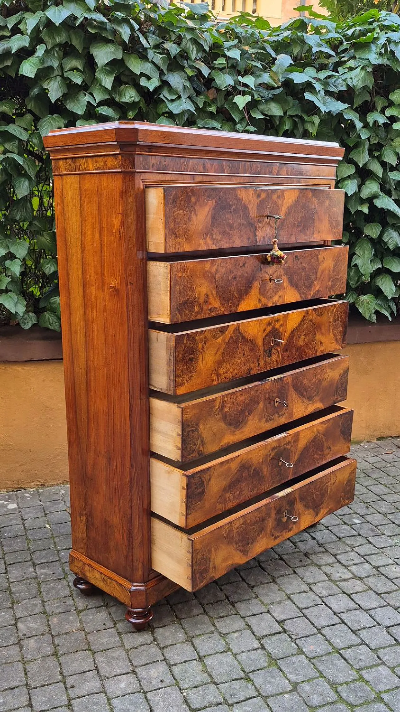 Romagna chest of drawers in walnut burl, 19th century 3