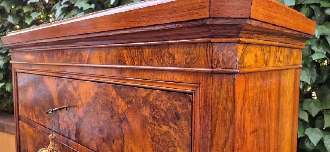 Romagna chest of drawers in walnut burl, 19th century 5