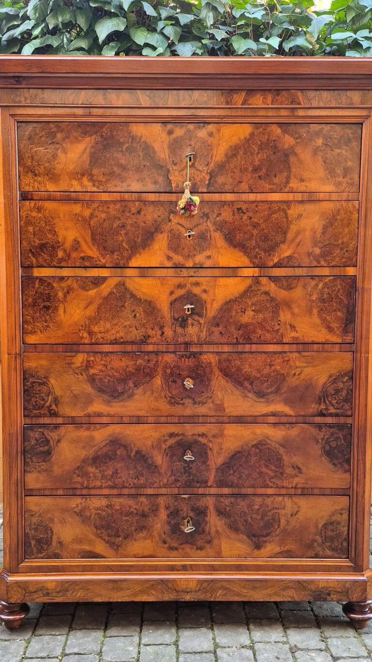 Romagna chest of drawers in walnut burl, 19th century 8